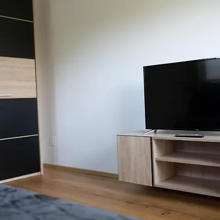 Holiday home Baer Comfortable Eben Im Pongau