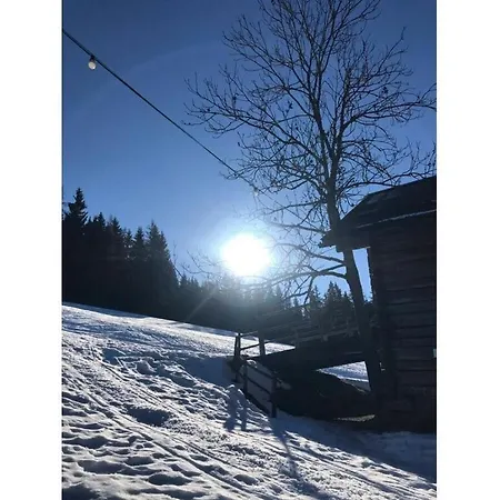 Baer Comfortable Holiday home Eben Im Pongau